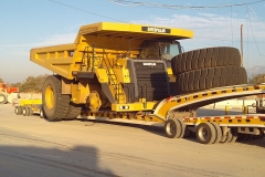 Truck with dump truck and tires